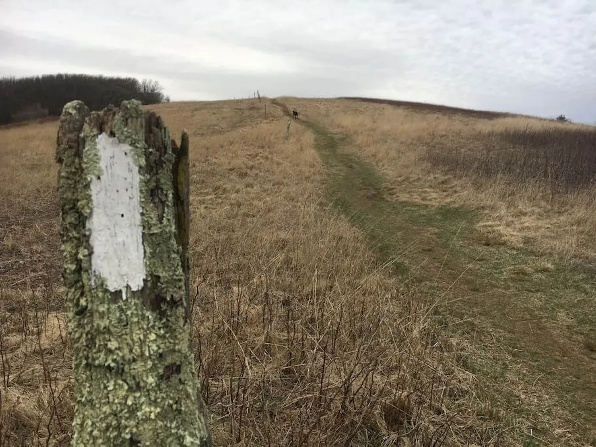 A weathered post marks a gentle pathway stretching toward a distant hill, framed by natural grasses and trees. The serene atmosphere suggests both adventure and peaceful contemplation along the trail.