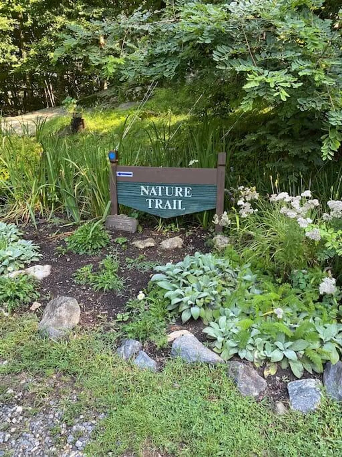 A stone pathway winds through lush greenery, leading past vibrant flower beds and a prominent nature trail sign. The surrounding woods evoke the promise of adventure and the tranquility of being immersed in nature.